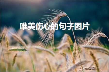 鍔卞織鎷兼悘鐨勫敮缇庡彞瀛愶紙鏂囨289鏉★級