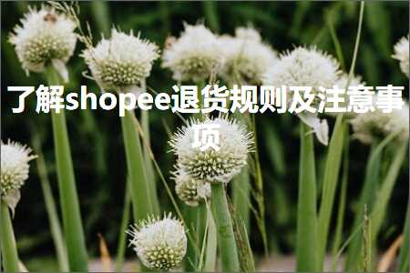 跨境电商知识:了解shopee退货规则及注意事项