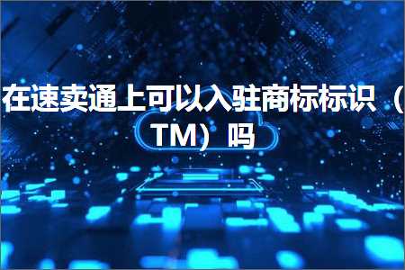 跨境电商知识:在速卖通上可以入驻商标标识（TM）吗