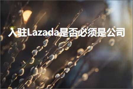 璺ㄥ鐢靛晢鐭ヨ瘑:鍏ラ┗Lazada鏄惁蹇呴』鏄叕鍙? width=