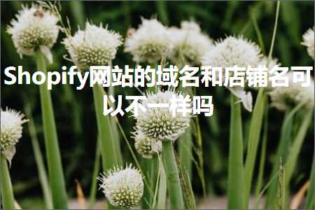 跨境电商知识:Shopify网站的域名和店铺名可以不一样吗