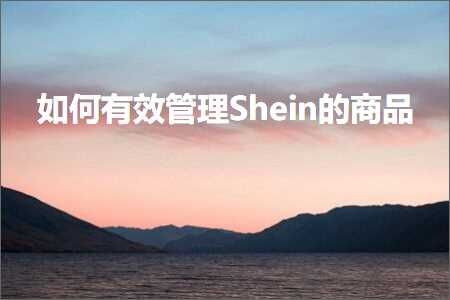 璺ㄥ鐢靛晢鐭ヨ瘑:濡備綍鏈夋晥绠＄悊Shein鐨勫晢鍝? width=